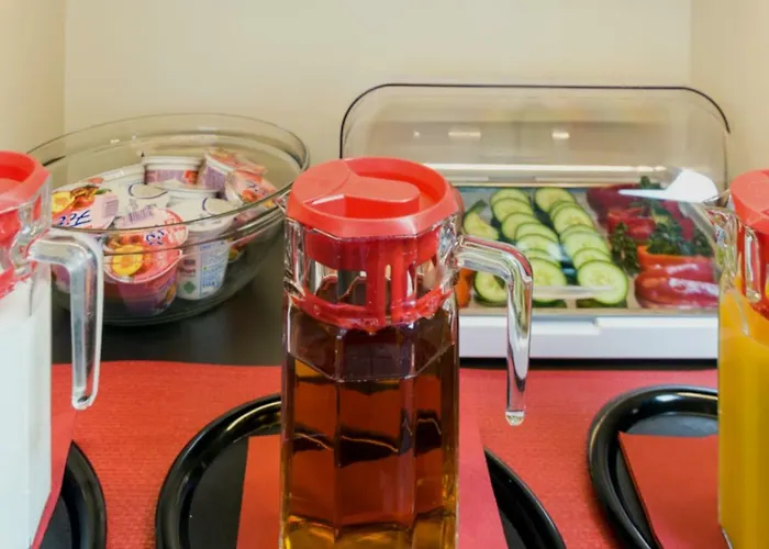 皇家酒店 美因河畔法兰克福